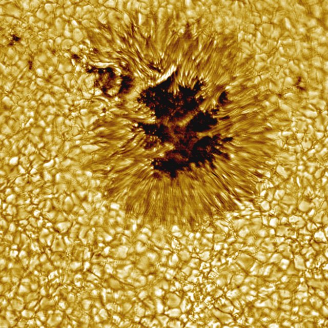 Sunspot NASA